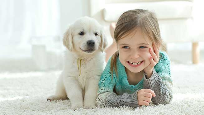 dog and girl on carpet Gloucestershire